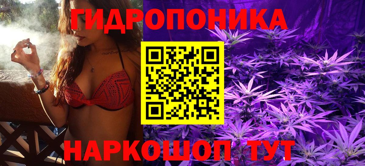 Бошки марихуана Ganja Дальнегорск